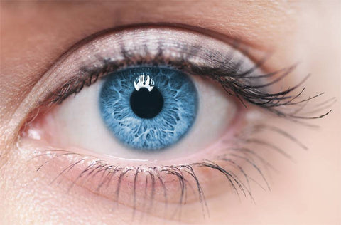 Phycocyanine pour les yeux 
