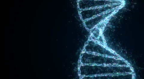 Phycea | Phycocyanine : Agit sur les cellules souches pour optimiser la santé