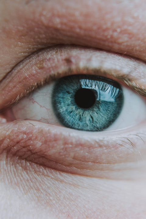 Phycea | Astaxanthine : Aide à maintenir une bonne santé pour les yeux 