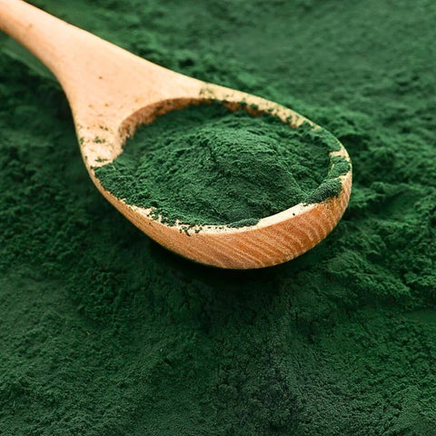 Spiruline ou phycocyanine