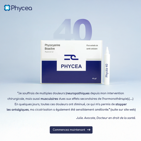 Phycocyanine - 40 g/L